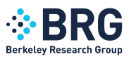 Berkeley Research Group, LLC logo