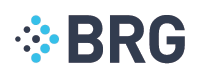 Berkeley Research Group, LLC logo